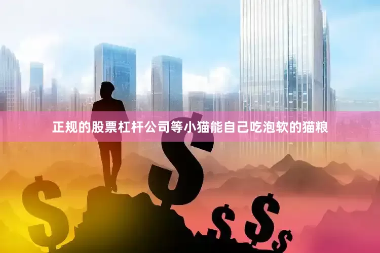 正规的股票杠杆公司等小猫能自己吃泡软的猫粮