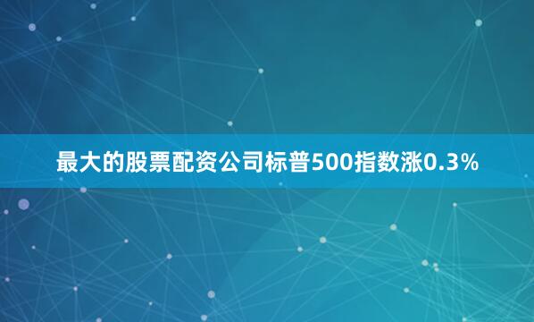 最大的股票配资公司标普500指数涨0.3%