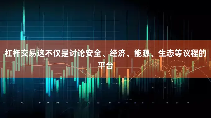 杠杆交易这不仅是讨论安全、经济、能源、生态等议程的平台