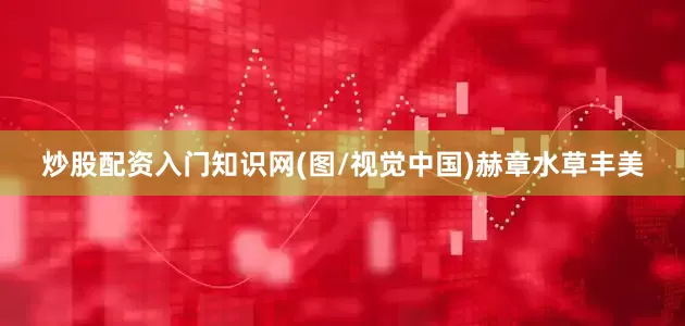 炒股配资入门知识网(图/视觉中国)赫章水草丰美