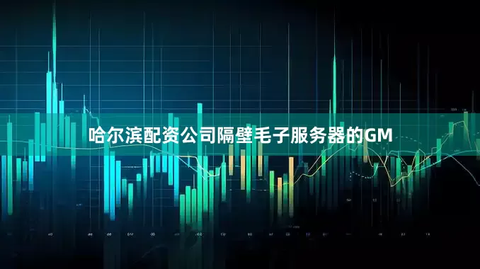 哈尔滨配资公司隔壁毛子服务器的GM
