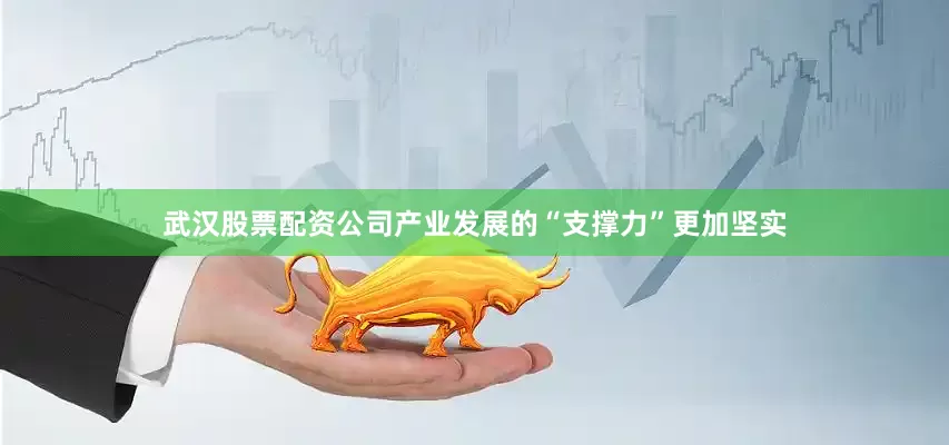 武汉股票配资公司产业发展的“支撑力”更加坚实