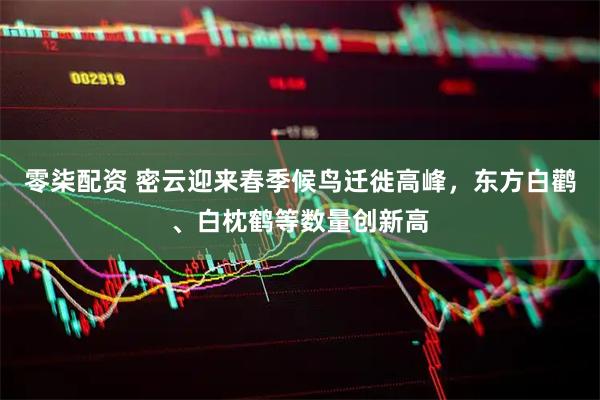 零柒配资 密云迎来春季候鸟迁徙高峰，东方白鹳、白枕鹤等数量创新高