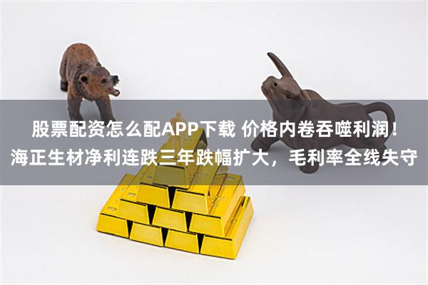 股票配资怎么配APP下载 价格内卷吞噬利润！海正生材净利连跌三年跌幅扩大，毛利率全线失守