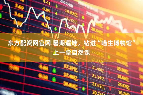 东方配资网官网 暑期遛娃，钻进“喵生博物馆”上一堂自然课